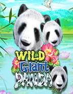 ทำความรู้จักกับ slotxo ไม่ ผ่าน เอ เย่ น เล่นสนุกถอนง่าย